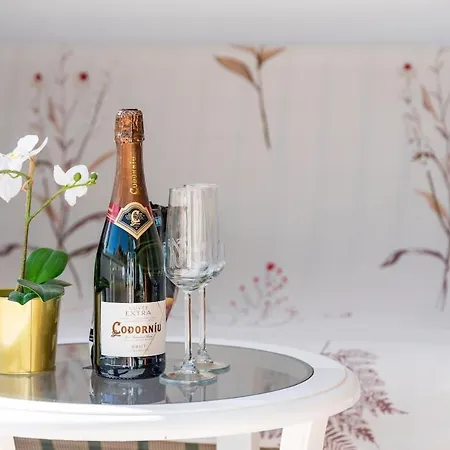 Sublime169 Large Terrace Overlooking The Garden And Ocean *