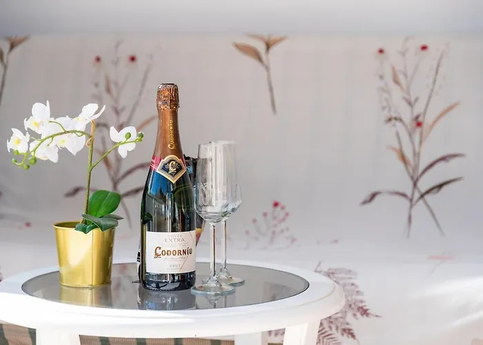 Sublime169 Large Terrace Overlooking The Garden And Ocean *